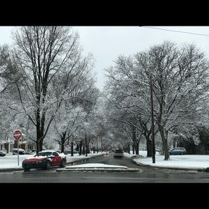 Meet your Posher, Beth